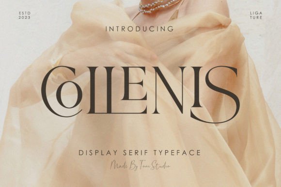 Collenis Serif Font: Elevating High-End Campaign Design