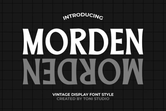 Morden Serif Display Font for Modern Web Design