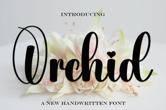 Orchid Typeface: A Relaxed Handwritten Display Font for Modern Branding