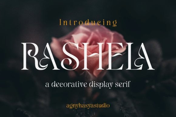Rashela Font Review: A Modern Serif for Elegant Editorial Design